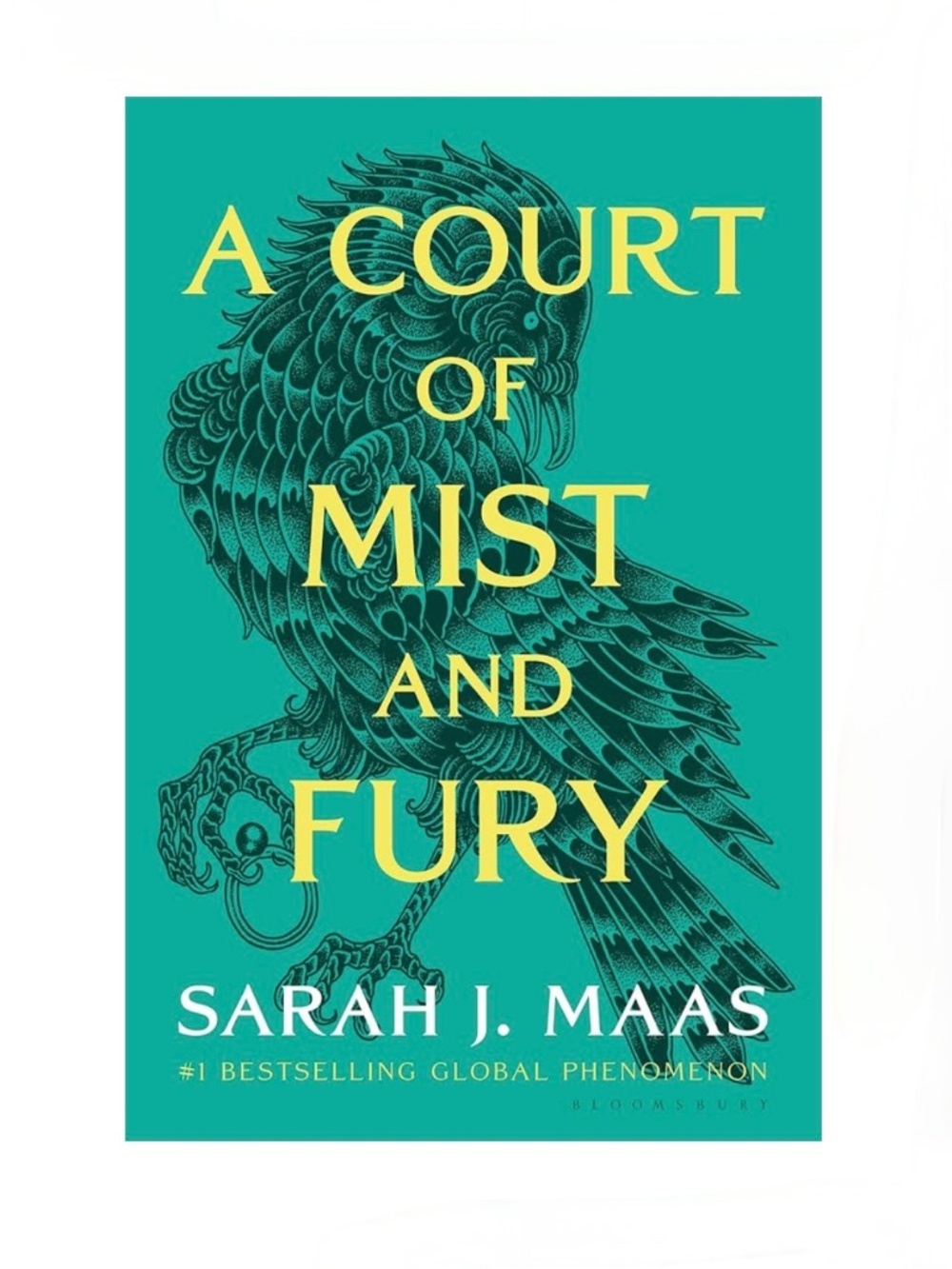 ✶FREE!! ↠·Mist & Fury·↞ EUC. Maas Book GIFT GIVEAWAY | Court Thorns Wings Roses - Picture 3 of 11